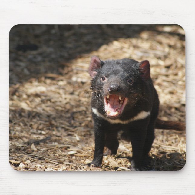 Tasmanian Devil Mouse Mat (Front)