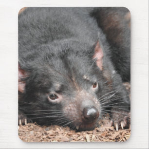 Tasmanian Devil Mouse Mat