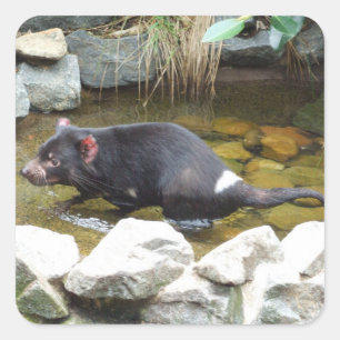Tasmanian Devil Sticker
