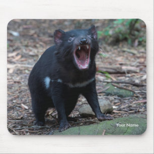 Tasmanian Devil Tasmania Australia Close Up Photo Mouse Mat