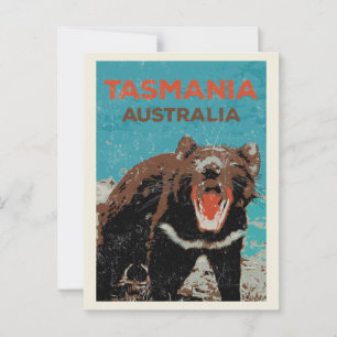 Tasmanian Devil, Tasmania island, Australia Postcard