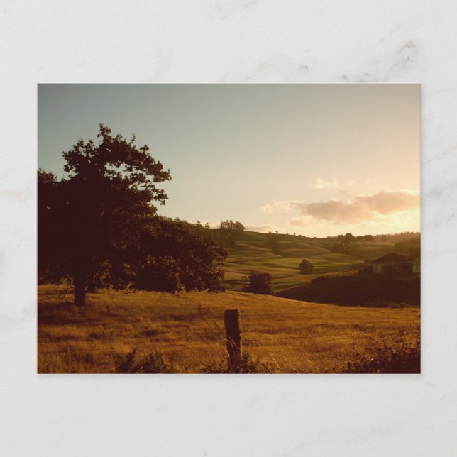 Tasmanian Summer Sunset Postcard (Front)