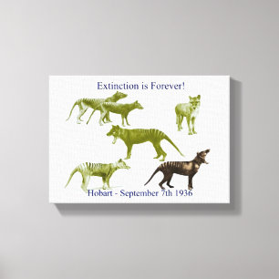 Tasmanian Tiger Thylacine Canvas Print