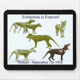 Tasmanian Tiger Thylacine Mouse pad