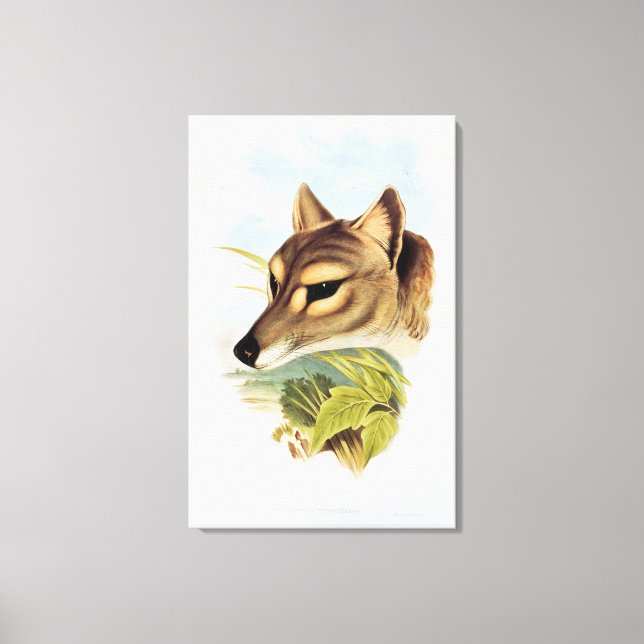 Tasmanian Wolf or Tiger Canvas Print (Front)