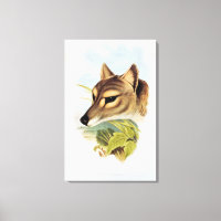 Tasmanian Wolf or Tiger