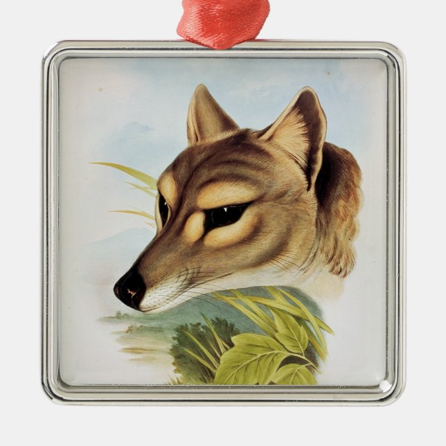 Tasmanian Wolf or Tiger Metal Tree Decoration (Front)
