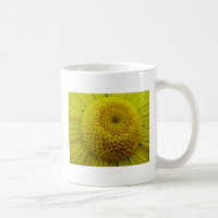 Tasse gelbe Margeritenblüte: have a nice day