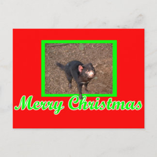 Tassie Devil Postcard