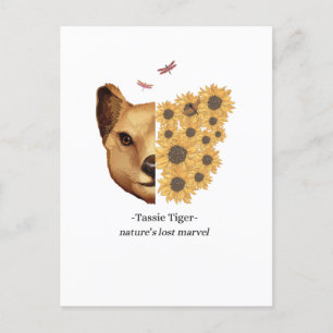 Tassie Tiger Thylacine Tasmanian Wolf Postcard