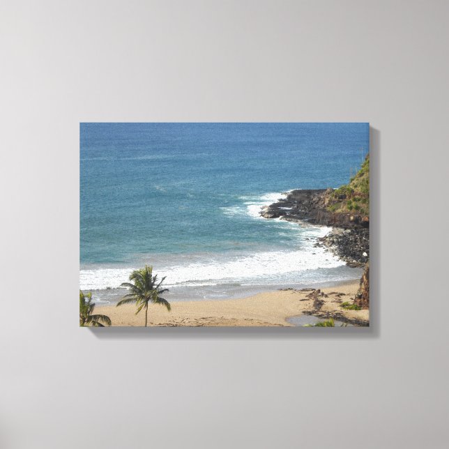 Taste of Hawaii Canvas Print (Front)