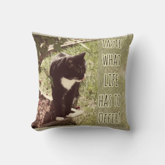 Taste of Life Motivating Cat Slogan Design Cushion