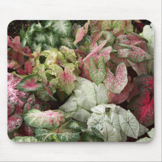 Taste of the Tropics Mouse Mat