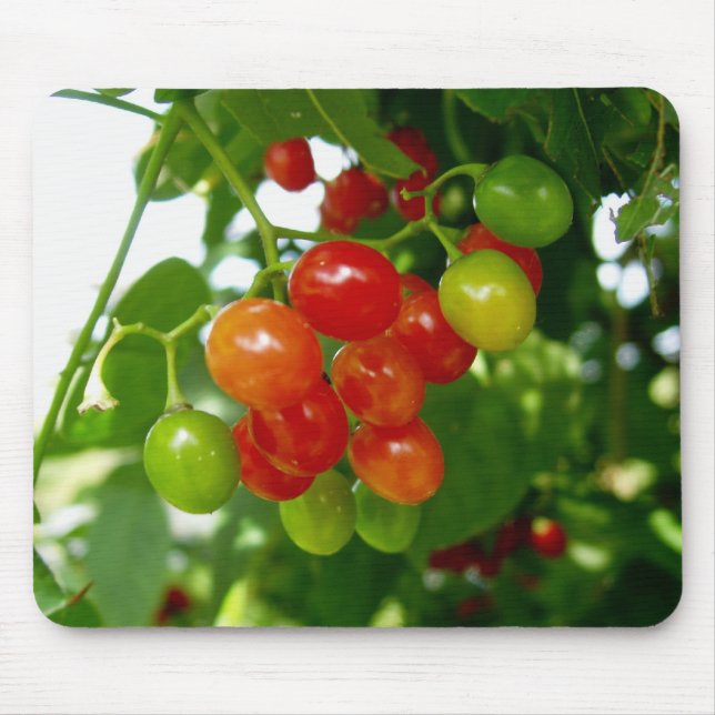 Taste the Berries Mouse Mat (Front)