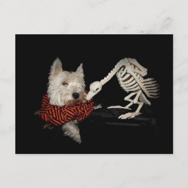 Tastes Like Chicken, Vulture & Westie Postcard (Front)