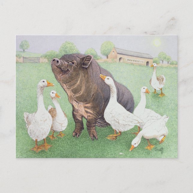 Tasty Morsel Postcard (Front)