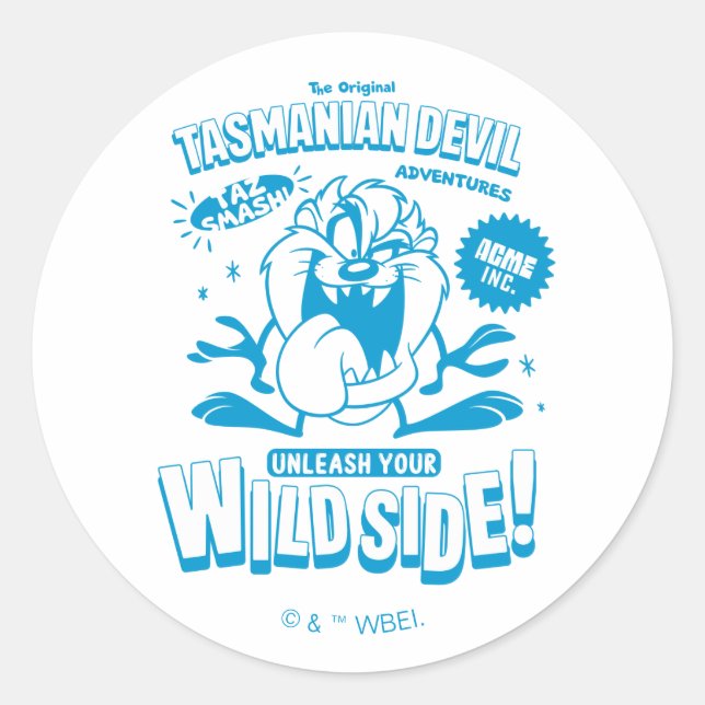 Tasty Retro TAZ™ Classic Round Sticker (Front)