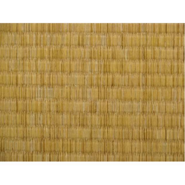 Tatami Mat 畳 Standing Photo Sculpture (Front)