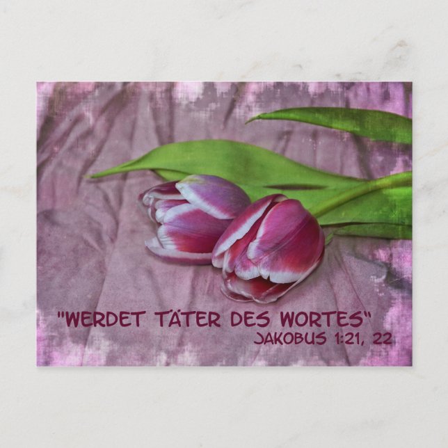 Täter des Wortes Postcard (Front)