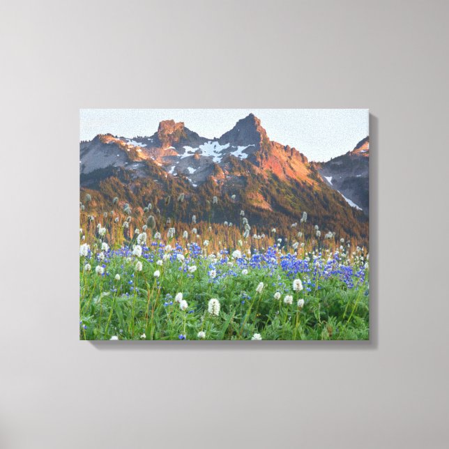 Tatoosh Range and Wildflowers | Mt. Rainier Canvas Print (Front)