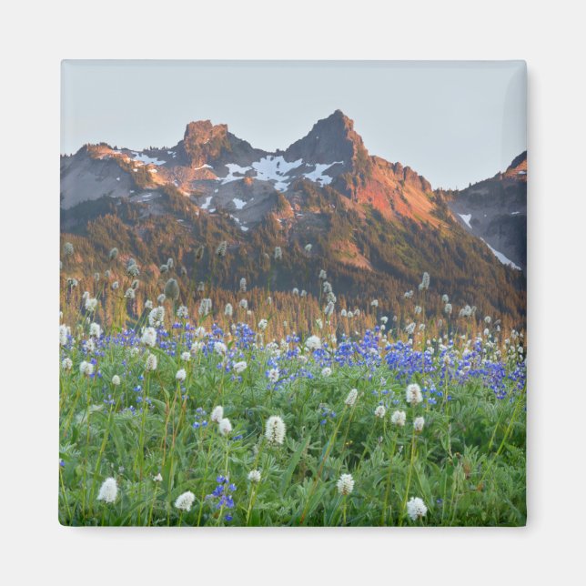 Tatoosh Range and Wildflowers | Mt. Rainier Magnet (Front)