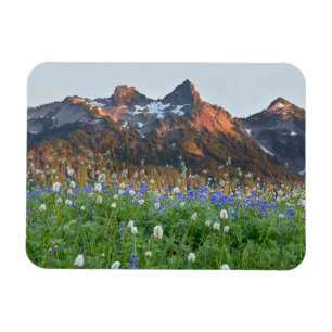 Tatoosh Range and Wildflowers   Mt. Rainier Magnet