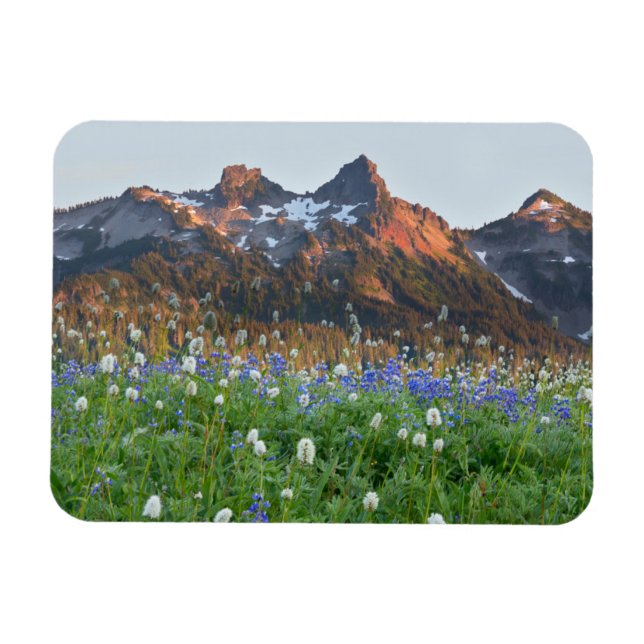 Tatoosh Range and Wildflowers | Mt. Rainier Magnet (Horizontal)