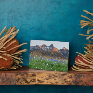 Tatoosh Range and Wildflowers Mt. Rainier Plaque