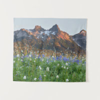 Tatoosh Range and Wildflowers | Mt. Rainier