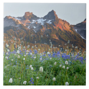 Tatoosh Range and Wildflowers   Mt. Rainier Tile