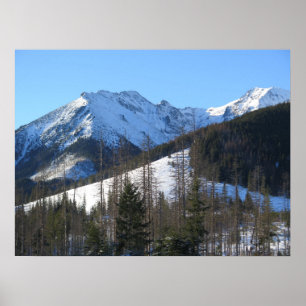 Tatras in winter poster