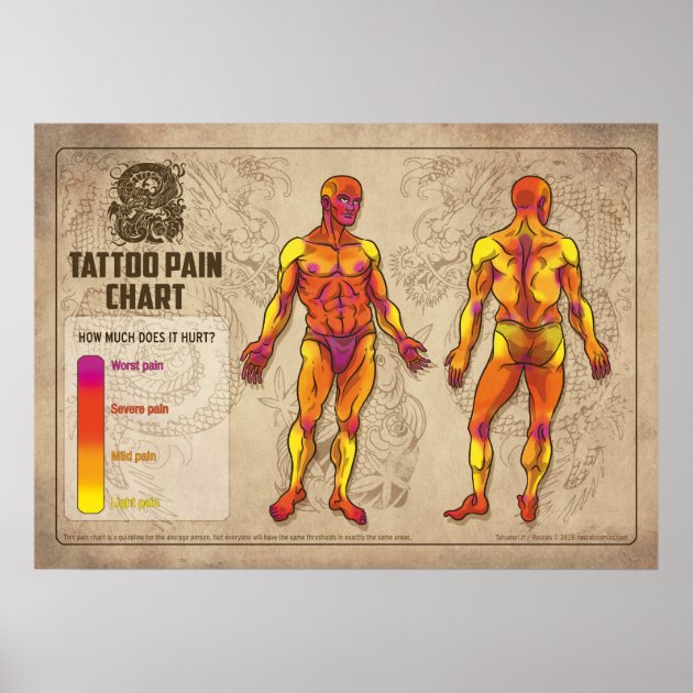 first tattoo pain chart｜TikTok Search