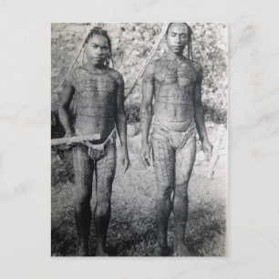 Tattooed Warriors of New Guinea Postcard
