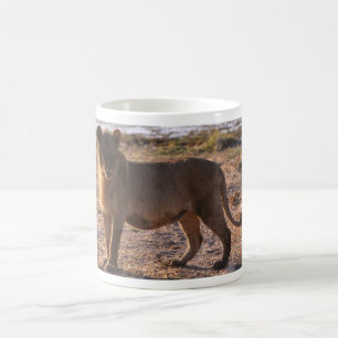 Tau, Lion, Photo Coffee Mug