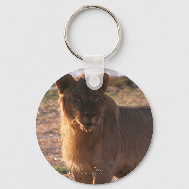 Tau, Lion, Photo Key Ring (Front)