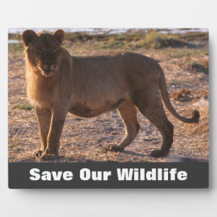 Tau Save Our Wildlife Plaque