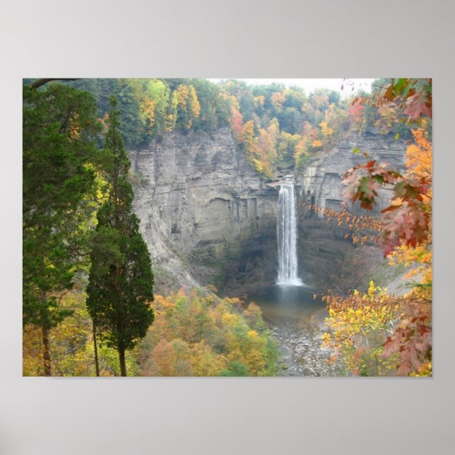Taughannock Falls Poster (Front)