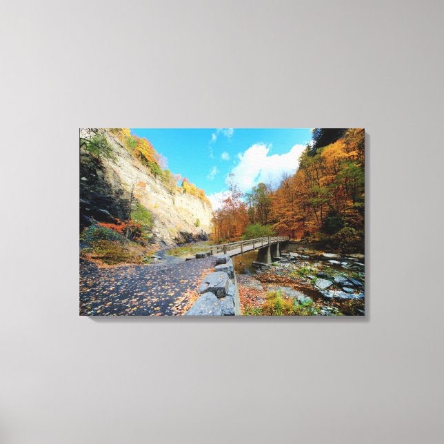 Taughannock Falls State Park Canvas Print (Front)