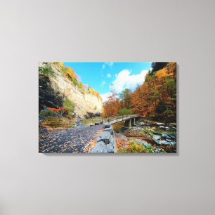 Taughannock Falls State Park Canvas Print