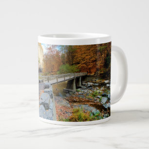 Taughannock Falls State Park Large Coffee Mug