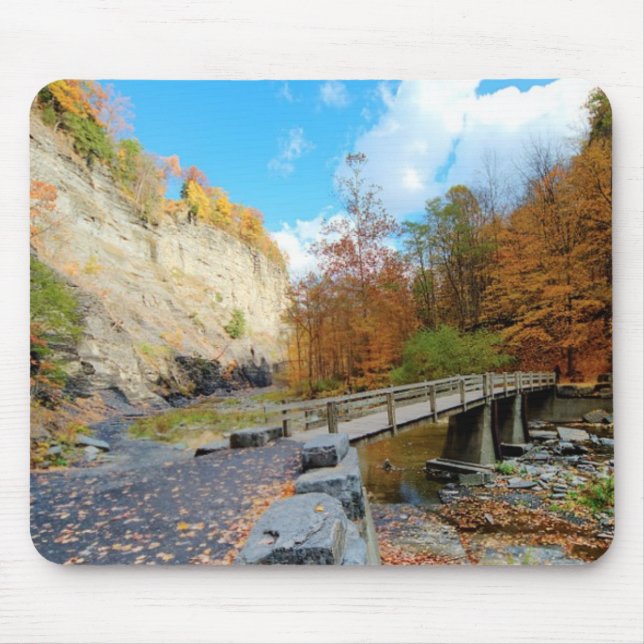 Taughannock Falls State Park Mouse Mat (Front)