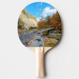 Taughannock Falls State Park Ping Pong Paddle
