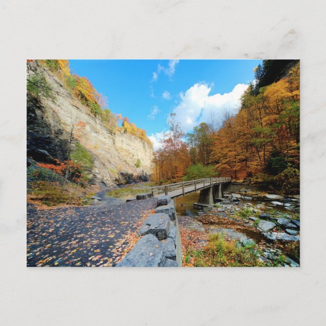Taughannock Falls State Park Postcard (Front)