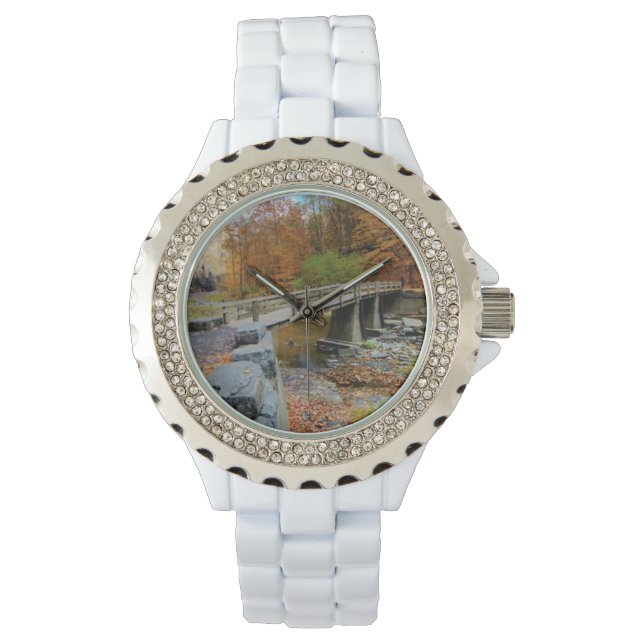 Taughannock Falls State Park Watch (Front)
