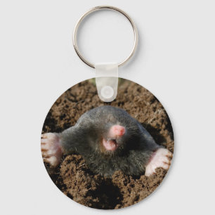 Taupe key holder ring