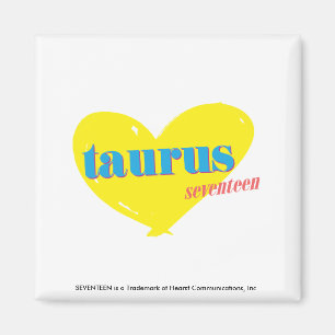 Taurus 3 magnet