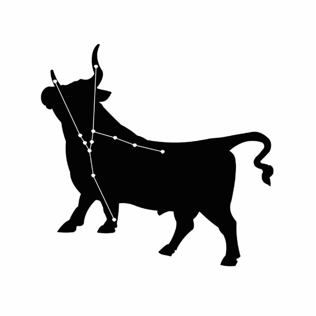 Taurus Constellation/Zodiac Photo Sculpture (Front)