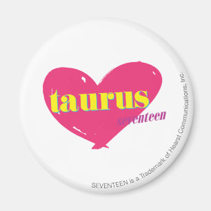 Taurus Magnet