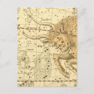Taurus Postcard