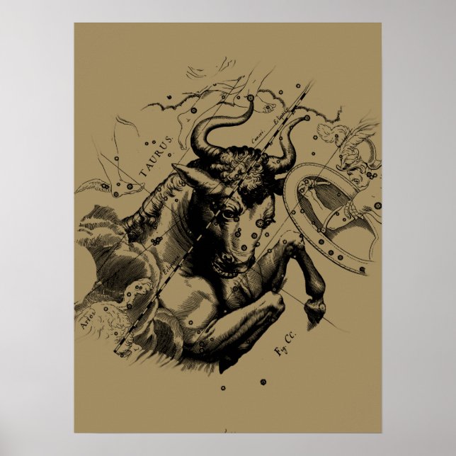 Taurus Sign Constellation Hevelius circa 1690 (Front)